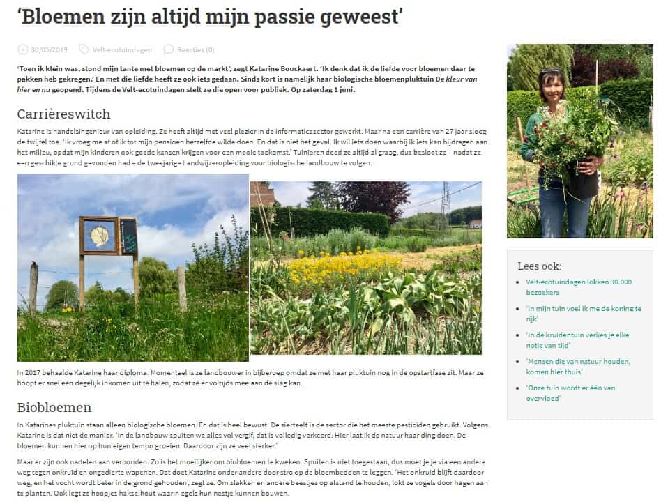 artikel velt