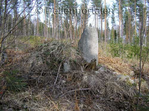 bjns-001-granssten-skalsvedja