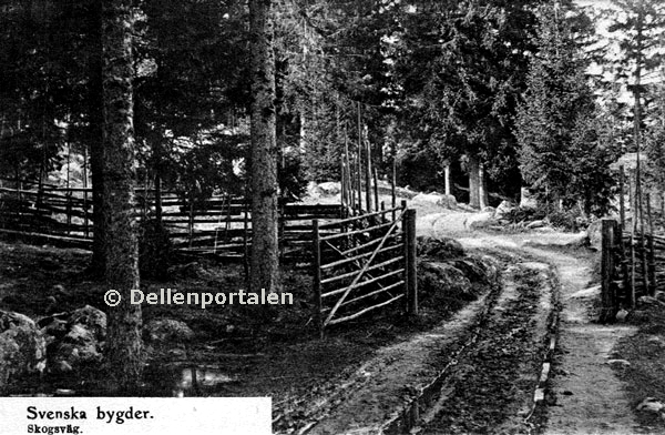 Bilden ägs av Åke Nätterö och Dellenportalen.se och får inte användas utan tillstånd