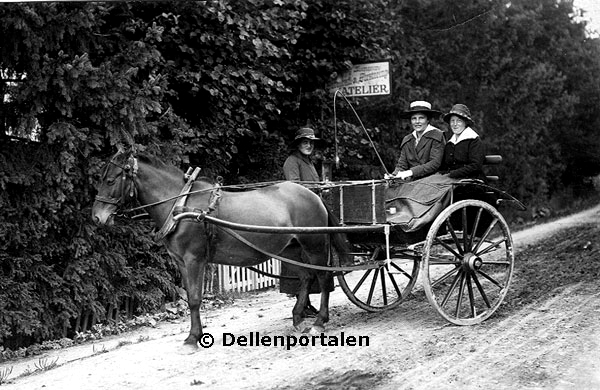 Bilden ägs av Åke Nätterö och Dellenportalen.se och får inte användas utan tillstånd