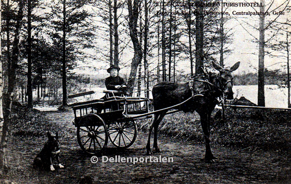 Bilden ägs av Åke Nätterö och Dellenportalen.se och får inte användas utan tillstånd