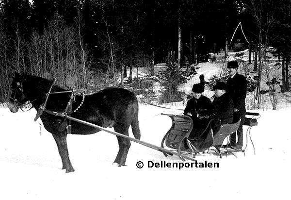 Bilden ägs av Åke Nätterö och Dellenportalen.se och får inte användas utan tillstånd