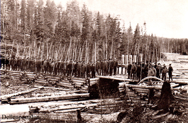 skog-025-1897