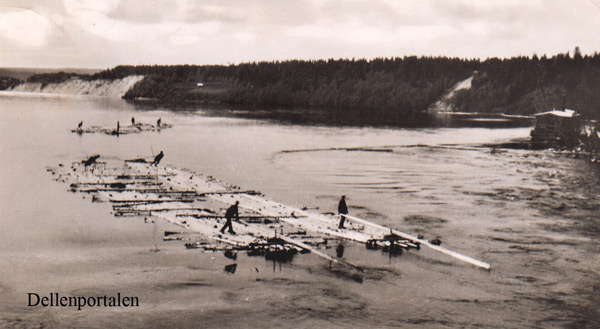 skog-026-flottning