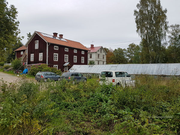 Ljusbacken 2021