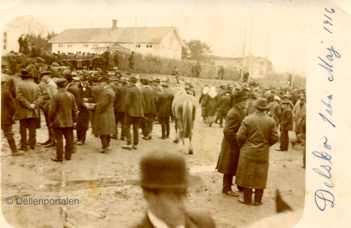 Hälsingemanövern 1907 – Dellenportalen