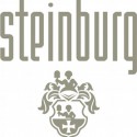 Steinburg Weiss Logo