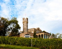 Hotel Burg Schwarzenstein im Weinberg