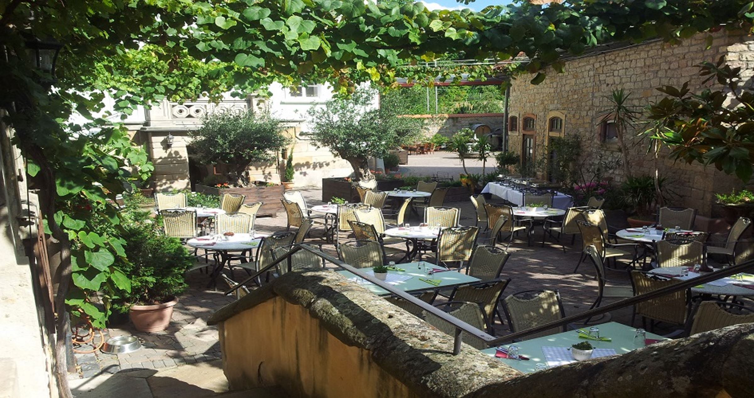 Gastehaus Weingut Am Stein Und Restaurant Reisers Wurzburg Bayern