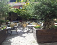 Sommer Aussicht Weingut Zumstein