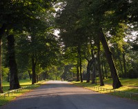 Comoedienhaus Park