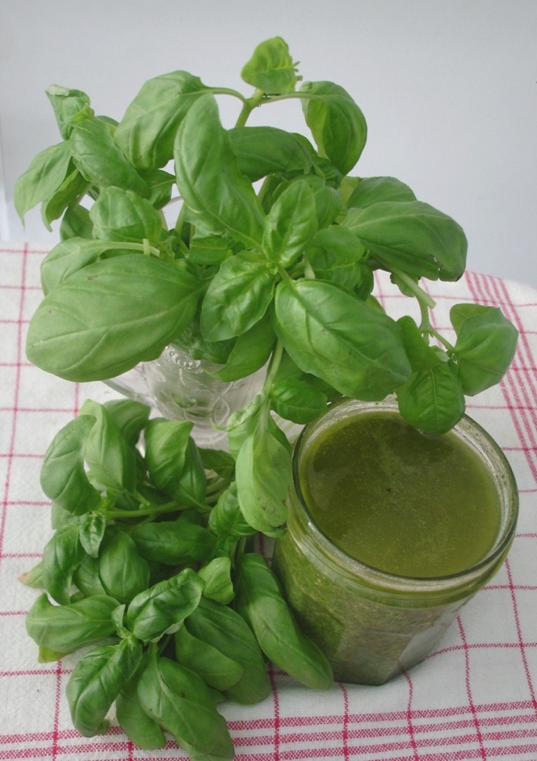 Basilikumpesto selbst gemacht