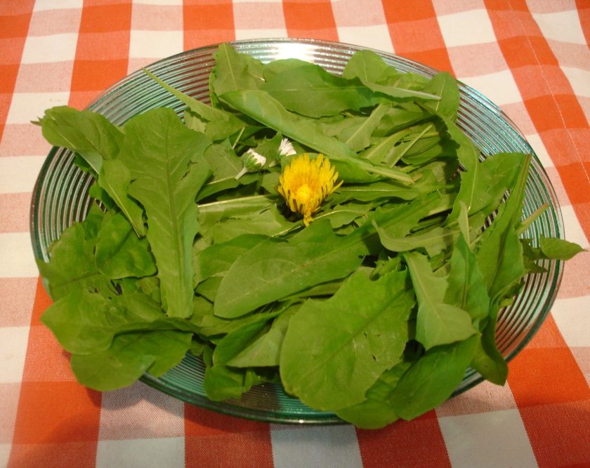 Kartoffelsalat mit Löwenzahn