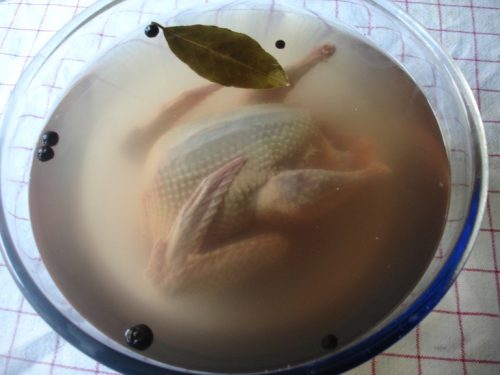 Täubchen pökeln Täubchen pökeln