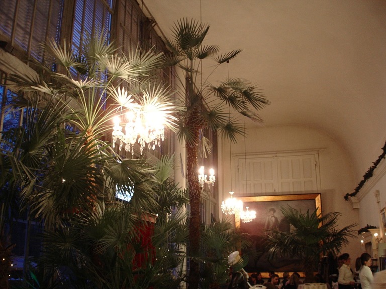 Sahnewindbeutel im Café Palmenhaus Sahnewindbeutel im Café Palmenhaus