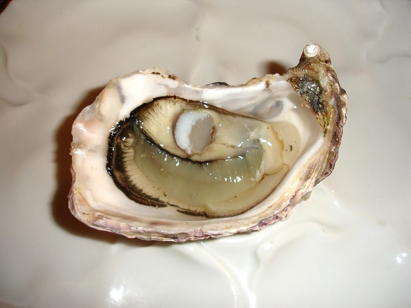 Austern mit Spinat und Sauce Hollandaise
