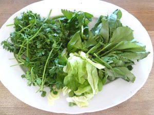 Kerbel, Grüner Salat, Petersilie und Radieschenkraut