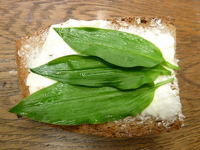 Bärlauchbutterbrot