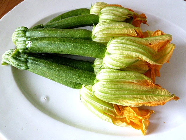 Zucchiniblüten mit Fischfarce gefüllt
