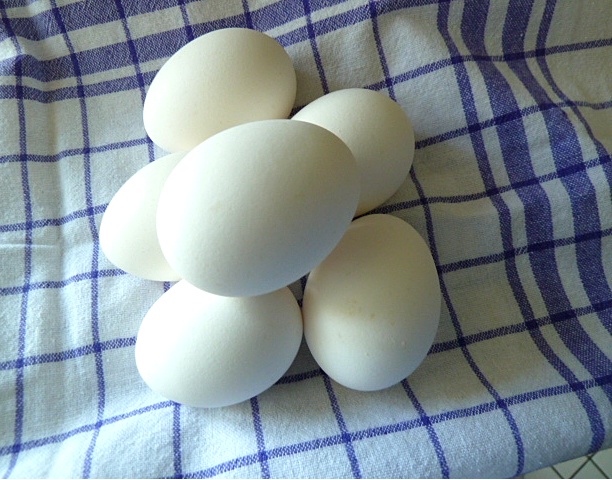 Sardellenbrot mit Ei