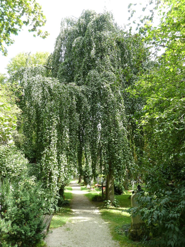 Schöner Friedhof