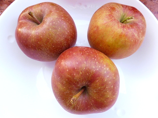 Apfelkücherl