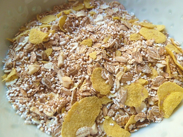 Müsli und Yoghurt mit getrockneten Beeren