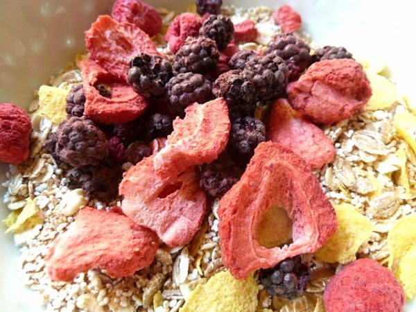 Müsli und Yoghurt mit getrockneten Beeren