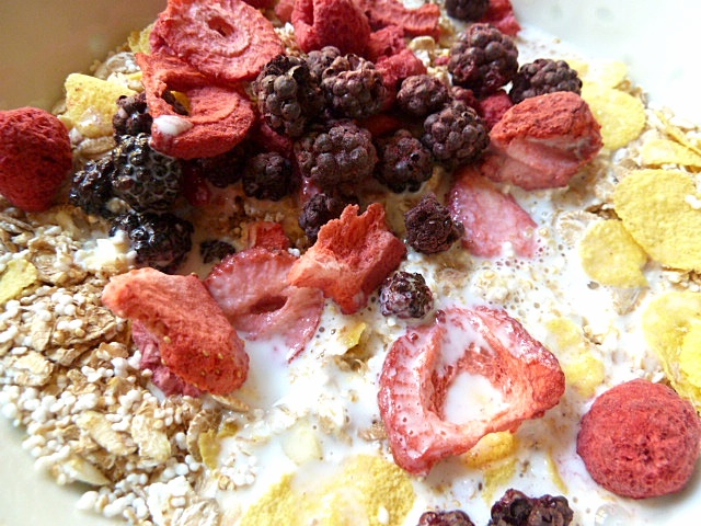 Müsli und Yoghurt mit getrockneten Beeren