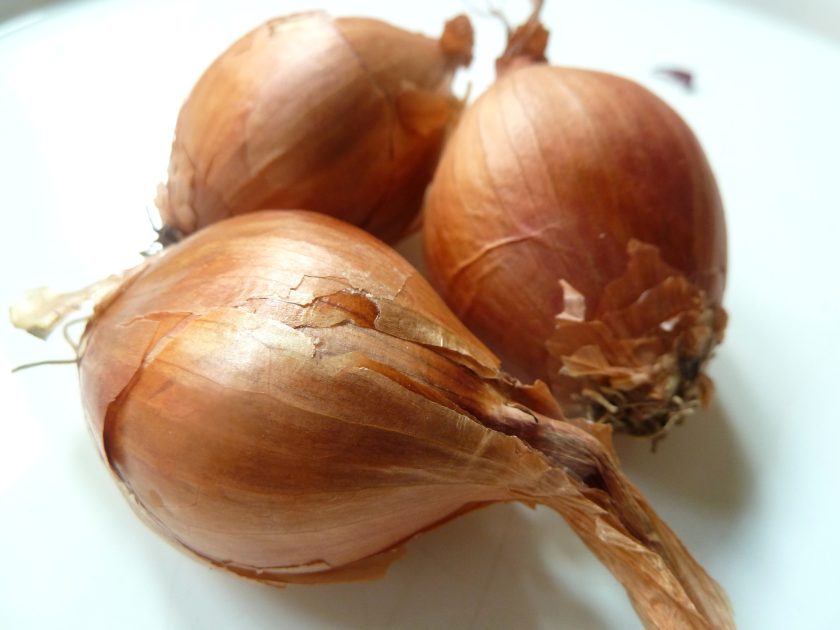 Jakobsmuscheln auf Trevisano-Zucchini Gemüse Jakobsmuscheln auf Trevisano-Zucchini Gemüse