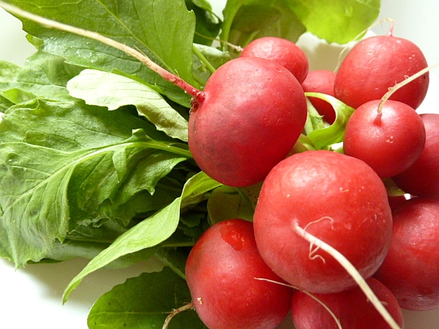 Radieschensalat mit jungem Radieschenkraut