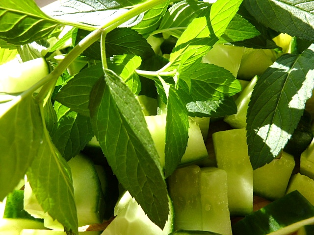 Kalte Joghurt-Gurkensuppe mit Minze