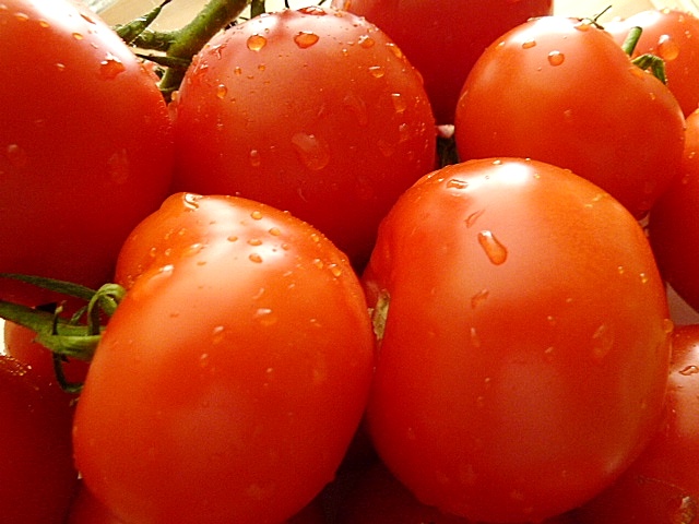 Tomaten waschen