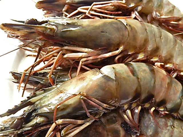 Gebackene Gambas