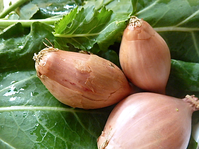 Kartoffelstampf mit Kohlrabiblättern und Reh-Chevapcici