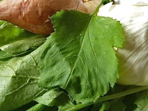 dazu Schalotten und Knoblauch