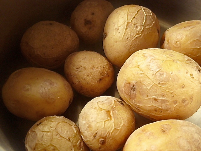 Rehfilet mit Rahmmorcheln und Kartoffelpüree
