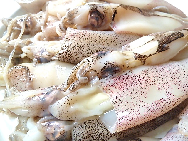 Nudelsalat von Gnocchetti sardi und Calamaretti