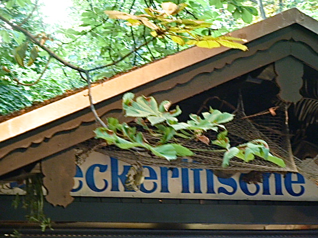 Augustiner Biergarten