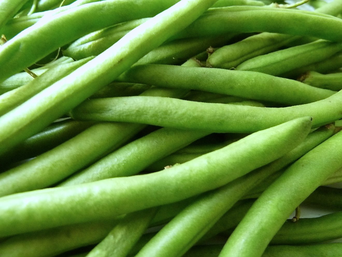 Matjeshering und Kartoffelsalat mit grünen Bohnen