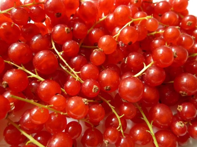 Boeuf Robespierre – Der Mut Anderer