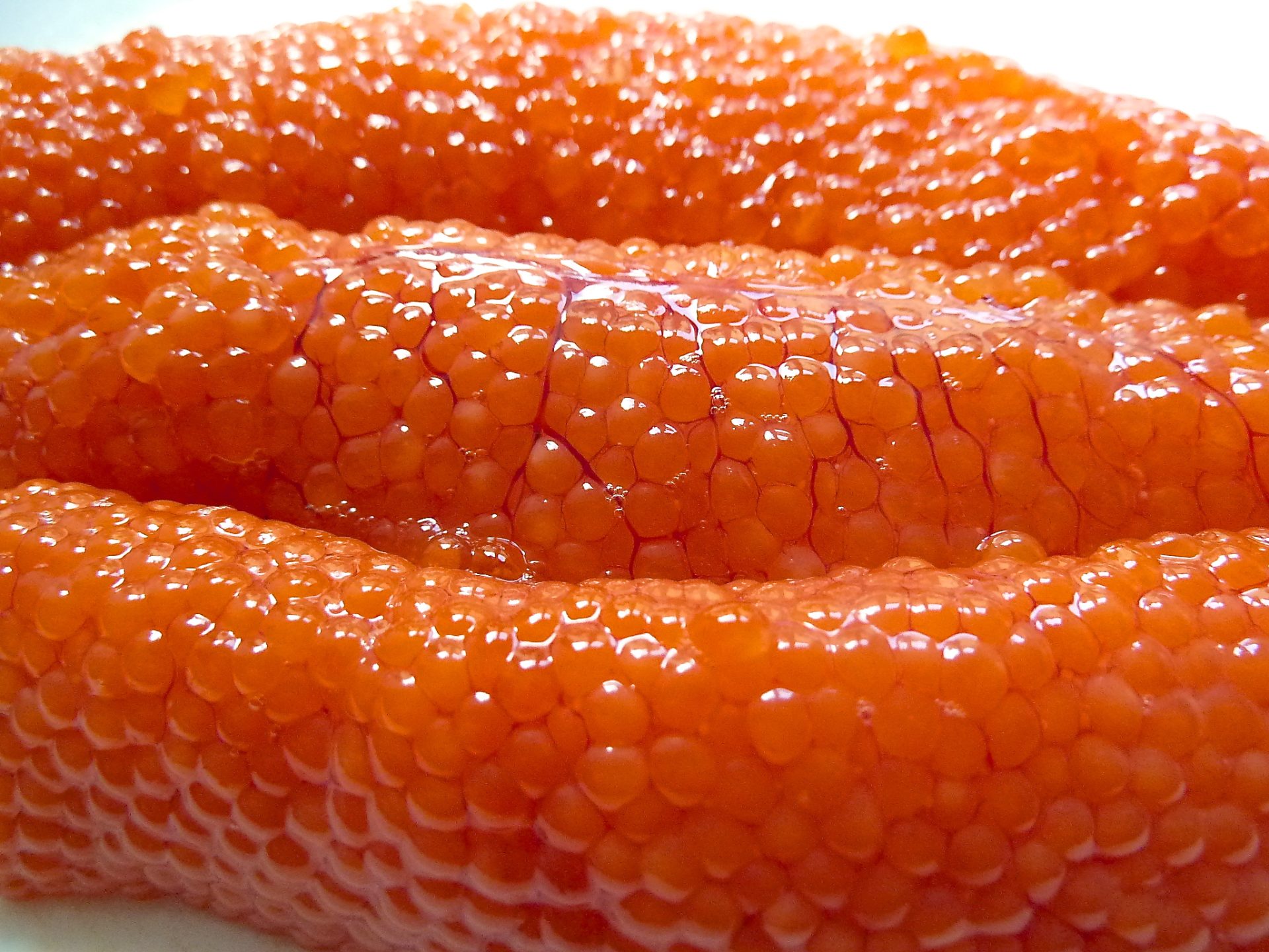 Ceviche von der Lachsforelle mit Salicornes und Forellenkaviar