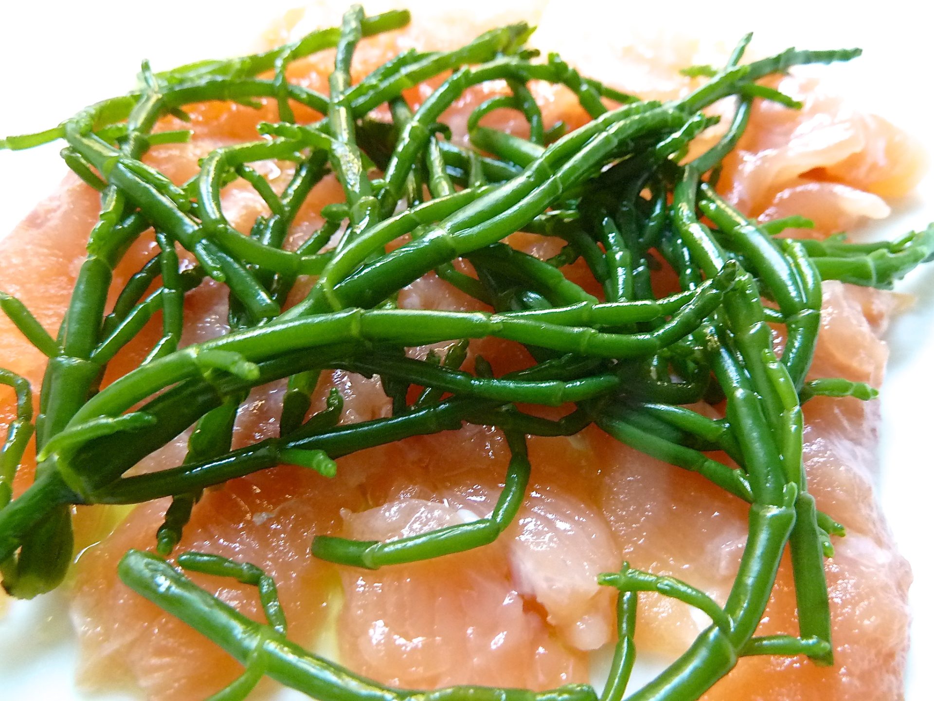 Ceviche von der Lachsforelle mit Salicornes und Forellenkaviar