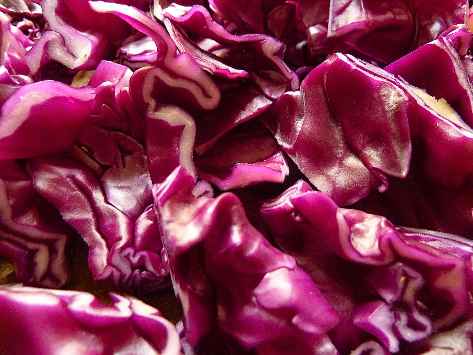 Yak-Gulasch mit Blaukraut