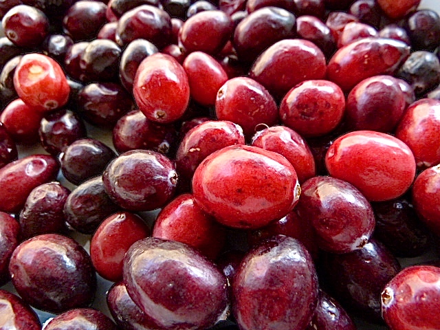 Cranberrysoße