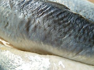 schön weich geworden nach 24 Wochen in der Essiglake