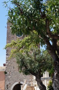 mit Blick zum Uhrturm