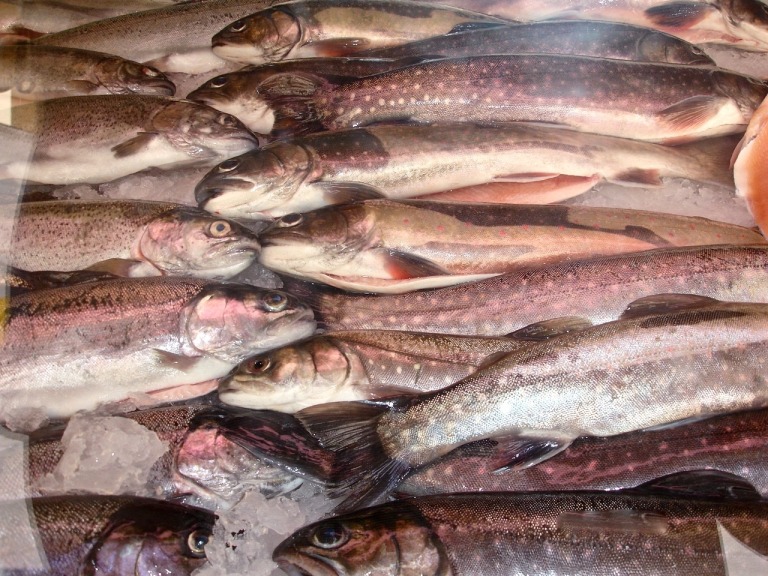 Fischtheke auf dem Bauernmarkt