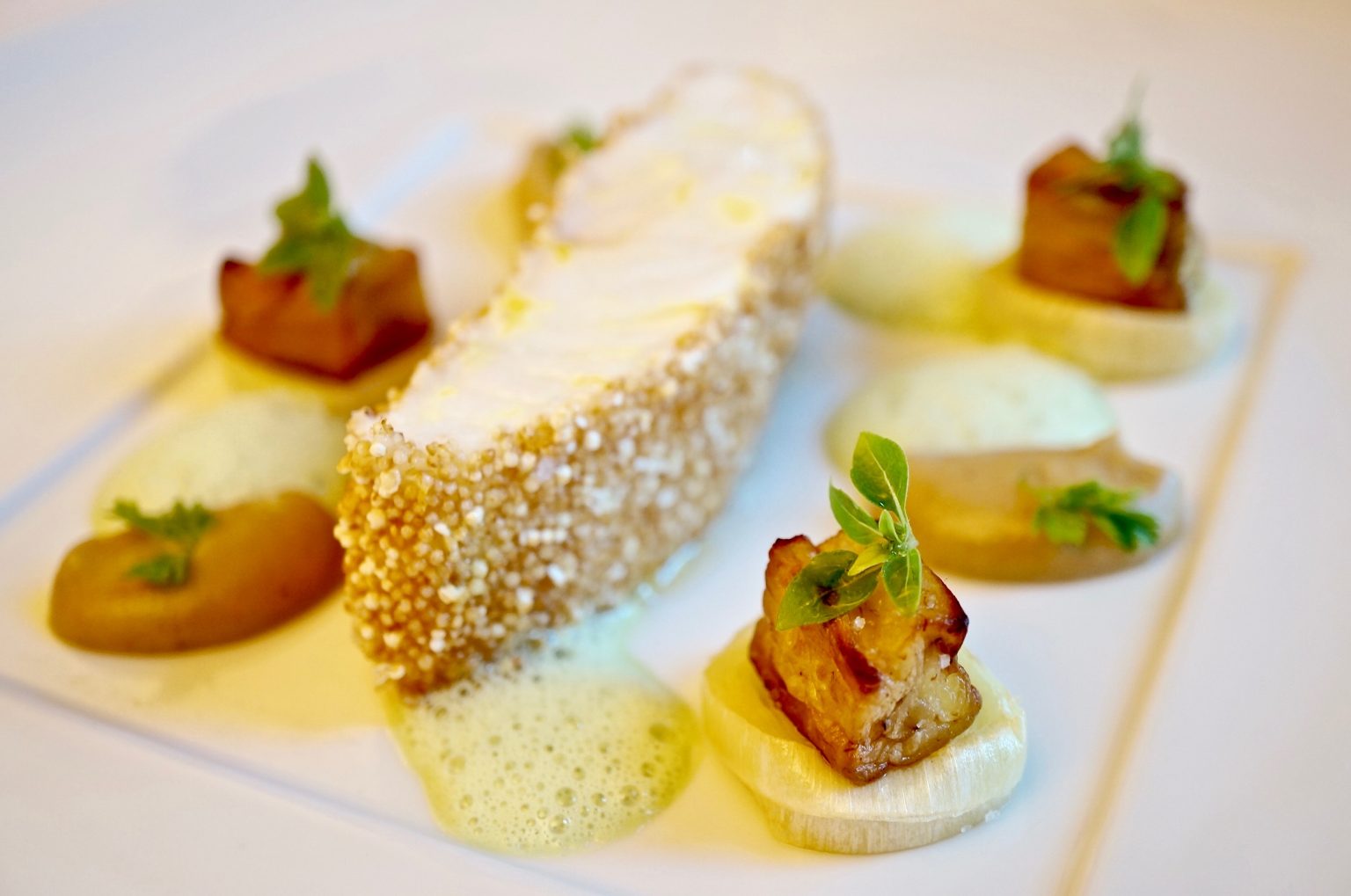 Acquarello - Zu Gast bei Mario Gamba - DerMutanderer.de