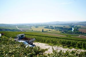 die Ernte hatte eben schon begonnen